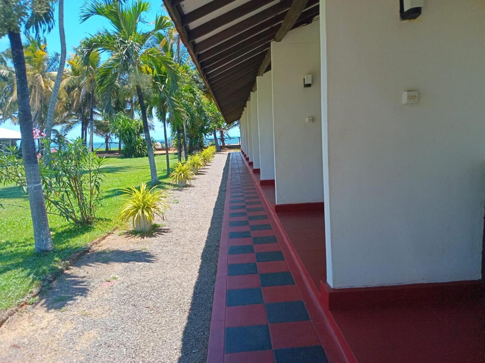 Ceylonica Beach Hotel Негомбо Экстерьер фото